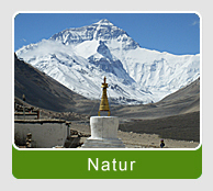 Tibet Natur